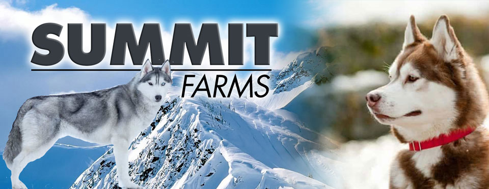 Summit Farms banner for website